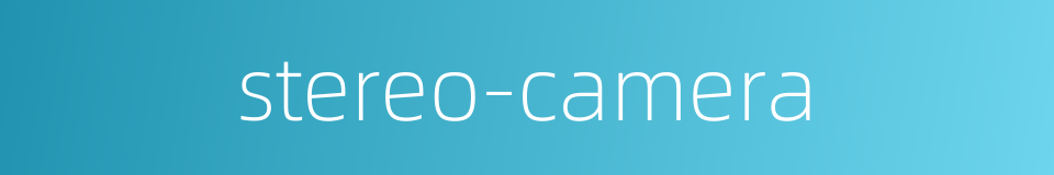 stereo-camera的同义词
