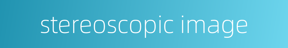 stereoscopic image的同义词