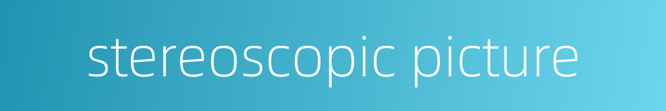 stereoscopic picture的同义词