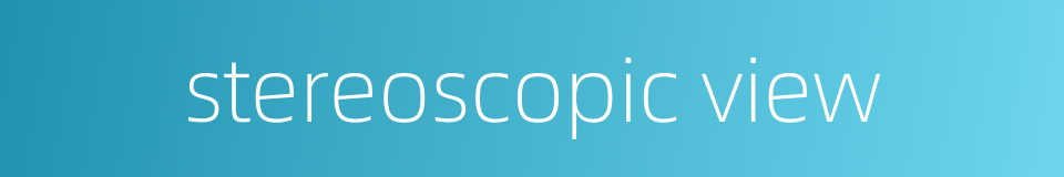 stereoscopic view的同义词