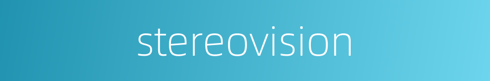 stereovision的同义词