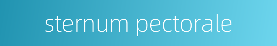 sternum pectorale的同义词