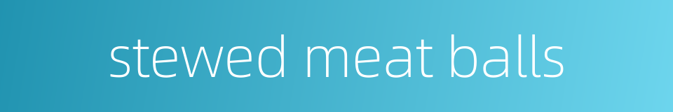 stewed meat balls的同义词