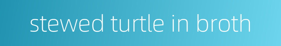 stewed turtle in broth的同义词