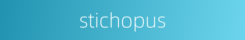 stichopus的同义词