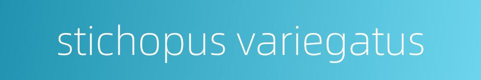 stichopus variegatus的同义词