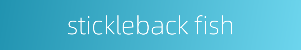 stickleback fish的同义词