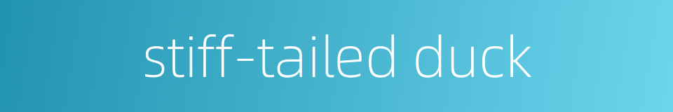 stiff-tailed duck的同义词