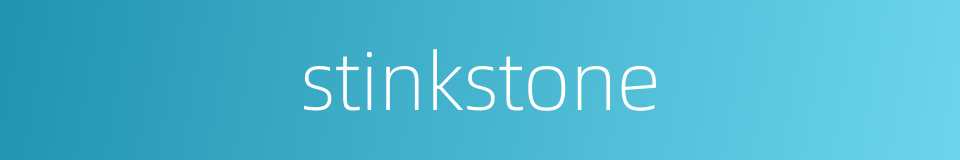 stinkstone的同义词