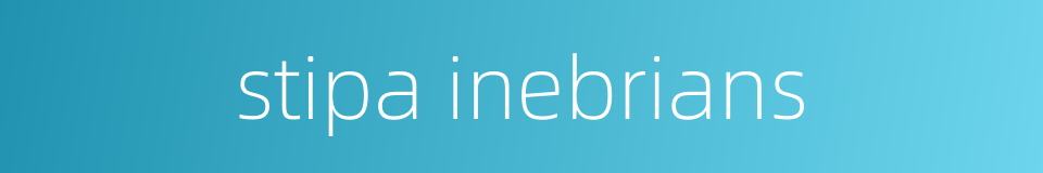 stipa inebrians的同义词