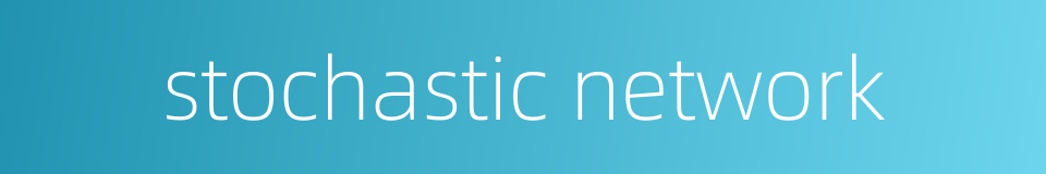 stochastic network的同义词