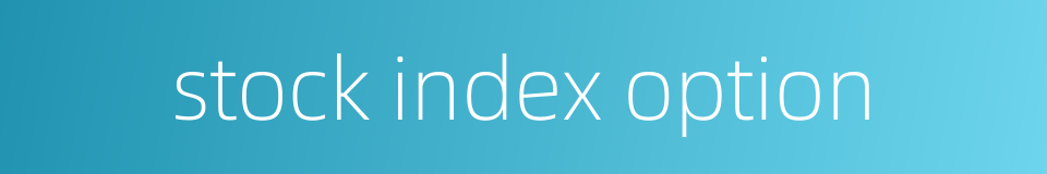 stock index option的同义词