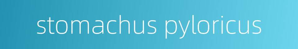 stomachus pyloricus的同义词