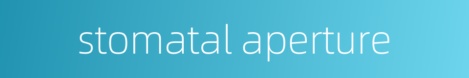stomatal aperture的同义词
