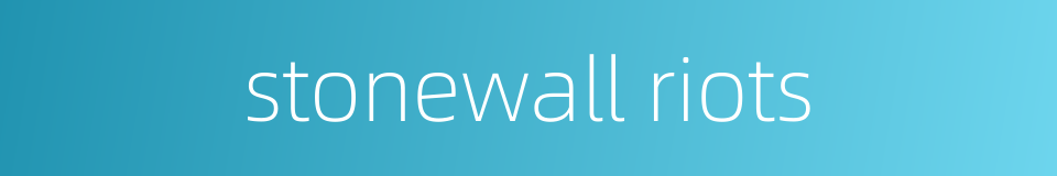 stonewall riots的同义词
