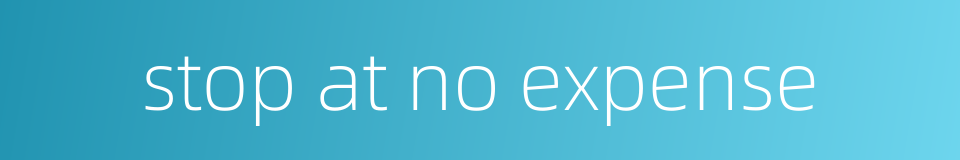 stop at no expense的同义词