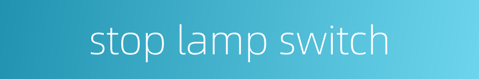 stop lamp switch的同义词