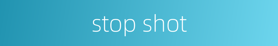 stop shot的同义词