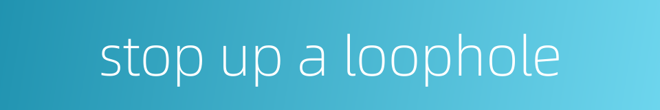 stop up a loophole的同义词