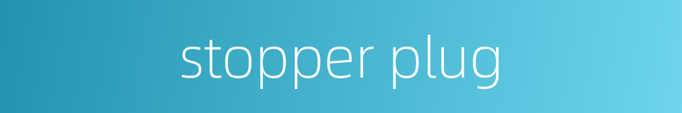 stopper plug的同义词