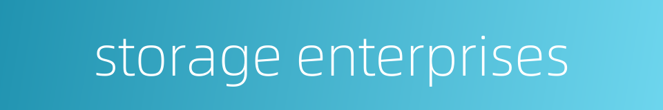 storage enterprises的同义词