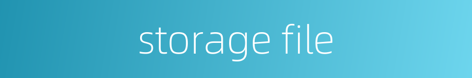 storage file的同义词
