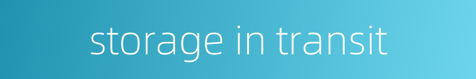 storage in transit的同义词