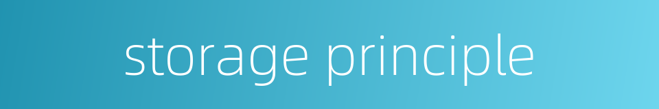 storage principle的同义词