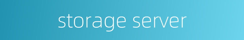 storage server的同义词
