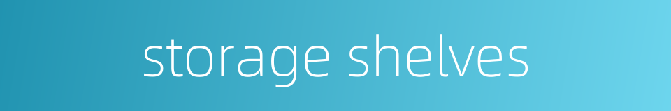 storage shelves的同义词