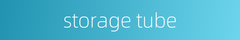 storage tube的同义词