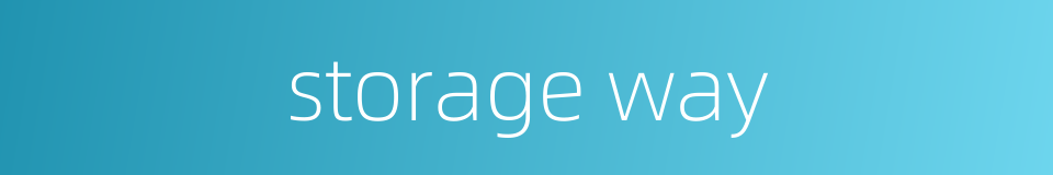 storage way的同义词