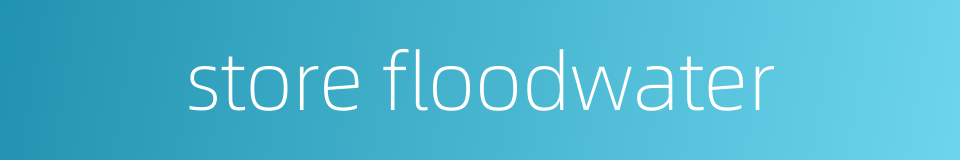 store floodwater的同义词