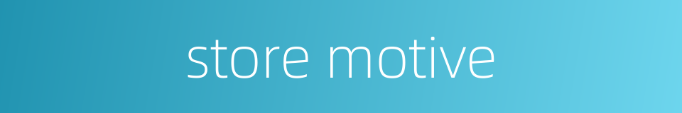 store motive的同义词