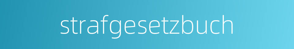 strafgesetzbuch的同义词