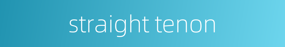straight tenon的同义词