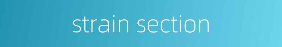 strain section的同义词