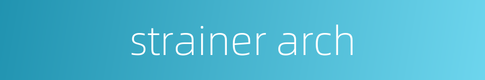 strainer arch的同义词