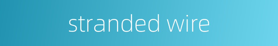 stranded wire的同义词
