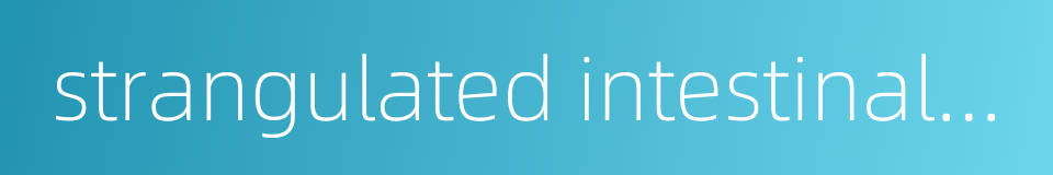 strangulated intestinal obstruction的同义词