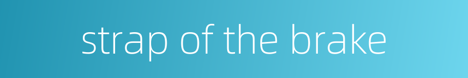 strap of the brake的同义词