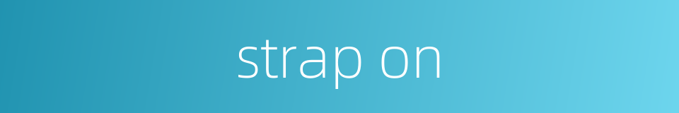strap on的同义词