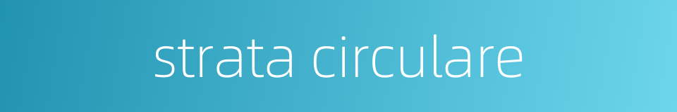 strata circulare的同义词