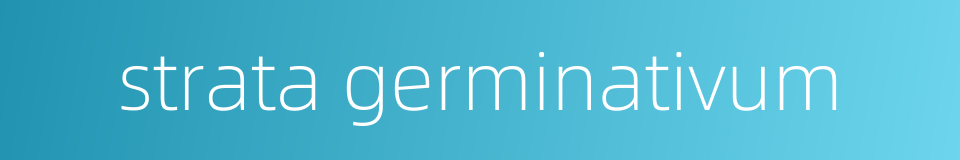 strata germinativum的同义词