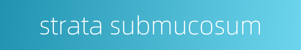 strata submucosum的同义词