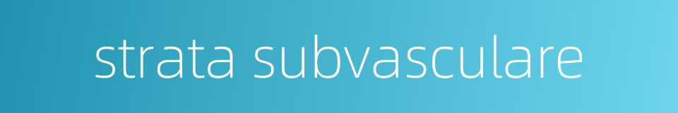 strata subvasculare的同义词