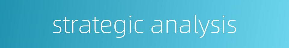 strategic analysis的同义词