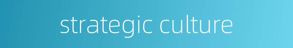 strategic culture的同义词