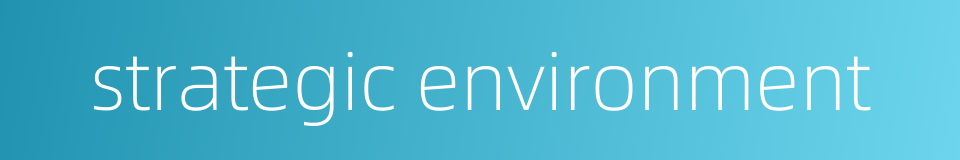 strategic environment的同义词