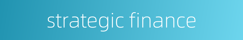 strategic finance的同义词